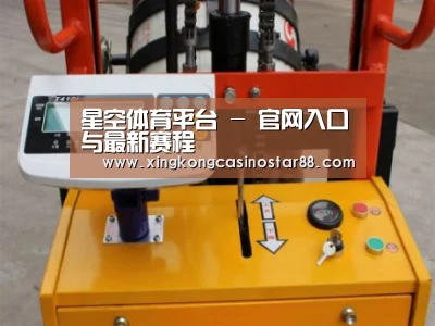 星空平台案例展示三(图1)