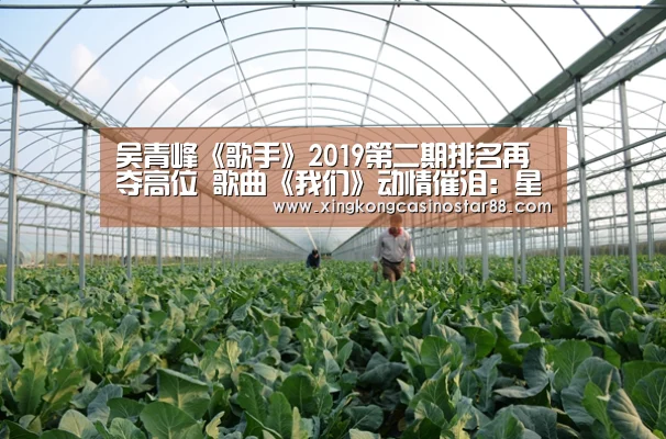 吴青峰《歌手》2019第二期排名再夺高位 歌曲《我们》动情催泪:星空平台(图3) 星空平台