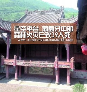 星空平台_葡萄牙中部森林火灾已致39人死亡 火势仍未得到完全控制(图1) 星空竞猜