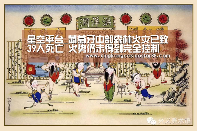 星空平台_葡萄牙中部森林火灾已致39人死亡 火势仍未得到完全控制(图3) 星空平台