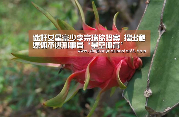 迷奸女星富少李宗瑞欲投案 提出避媒体不进刑事局‘星空体育’(图4) 星空竞猜